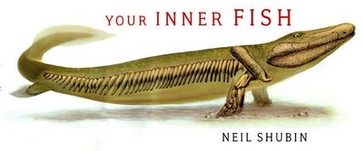 Your Inner Fish advertisement