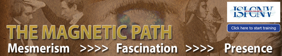 Magnetic path banner