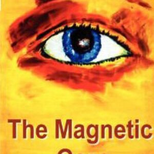 The Magnetic Gaze eBook