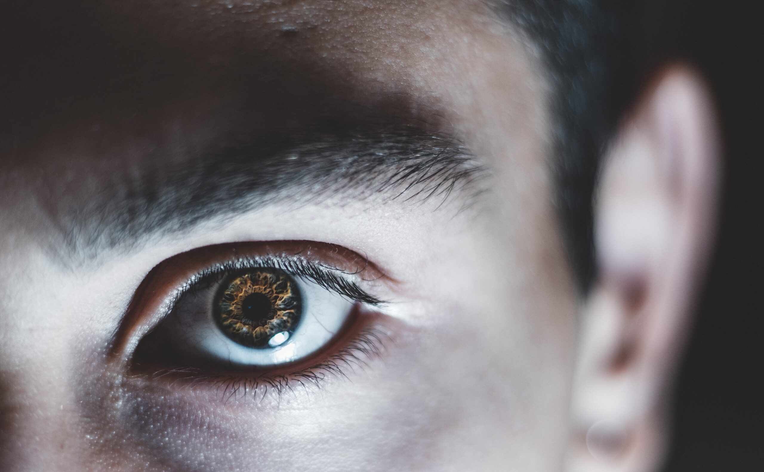 pexels-andrea-bova-2953811